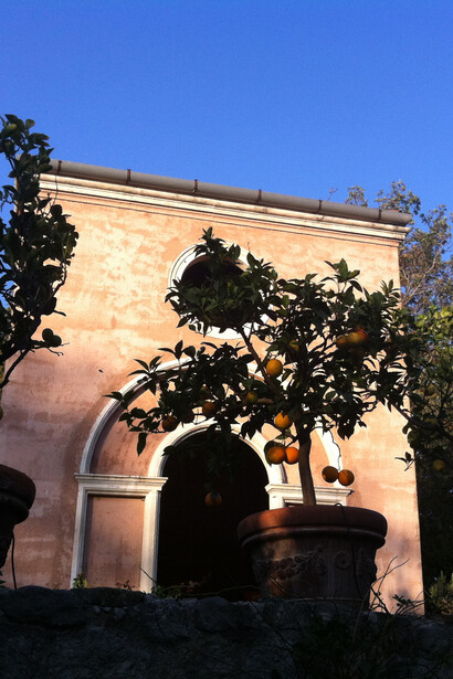 Agrumi nella Villa Byron