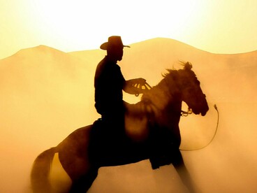 He will be even more joyed to see this boy than he will about being rescued, and what a glorious horse he has