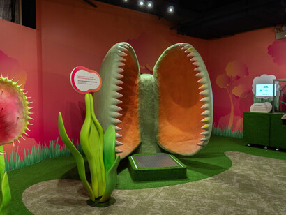 Savage garden, exhibition view. Courtesy of Science Centre