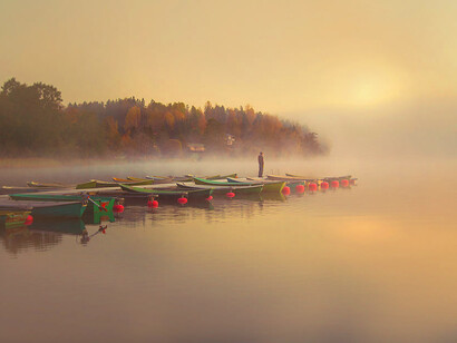 I meccanismi di sopravvivenza sono legati alle logiche della natura