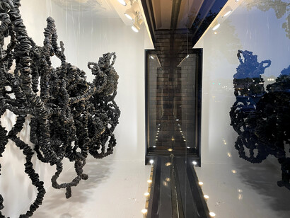 Judith Shaw, Lifelines, exhibition view. Courtesy of Bruno David Gallery
