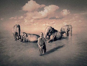 Gregory Colbert, serie fotográfica Ashes and Snow