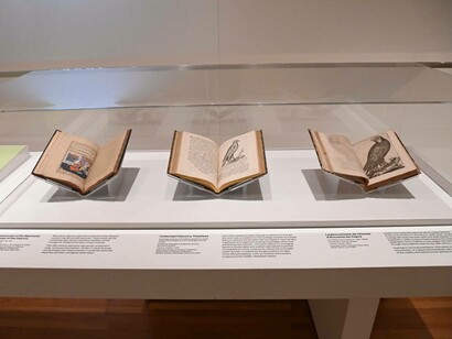 Game on! Exhibition view. Courtesy of Aga Khan Museum
