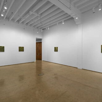 Sahil Naik, Sour stars and breadfruit monsoons, exhibition view. Courtesy of Experimenter