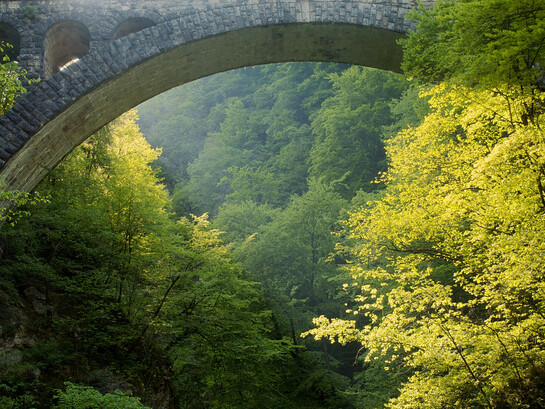 La degeometría aprende del bosque. Y el bosque no tiene autor. Puente en la garganta de Vintgar. Desfiladero de Vintgar, también conocido como desfiladero de Bled, de 1,6 kilómetros de longitud situado en los municipios de Gorje y Bled al noroeste de Eslovenia