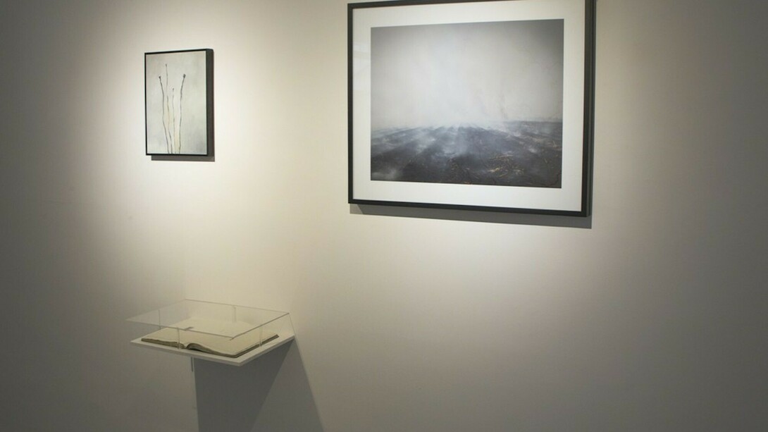 Intermittent Topographies, Exhibition view. Courtesy of Casa Nova Arte e Cultura Contemporanea
