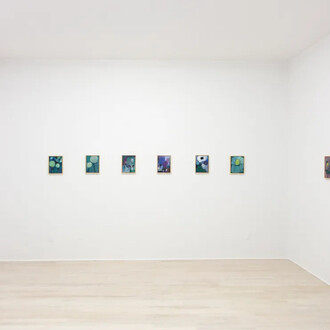 An Hoang, Garden poems, exhibition view. Courtesy of Halsey McKay Gallery