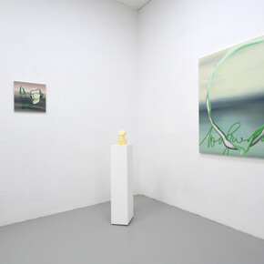 Exhibition view. Courtesy: Dimora Artica, Milano