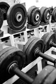 Academia de musculação. Entenda por que a musculação e o fortalecimento físico são essenciais para atletas de todos os níveis e como você, atleta amador, pode alcançar novas oportunidades com o apoio adequado