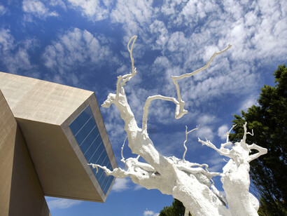 The Place To Be. Courtesy of Maxxi