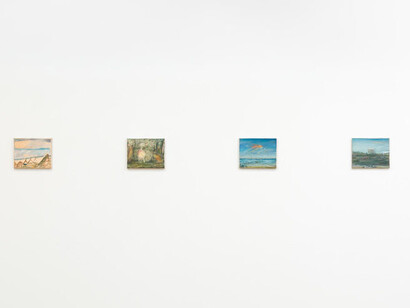 Henry Murphy, The sunbird, exhibition view. Courtesy of Fleisher/Ollman