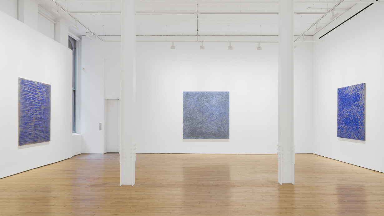 Vicky Colombet, Memory of the surface, exhibition view. Courtesy of James Cohan Gallery