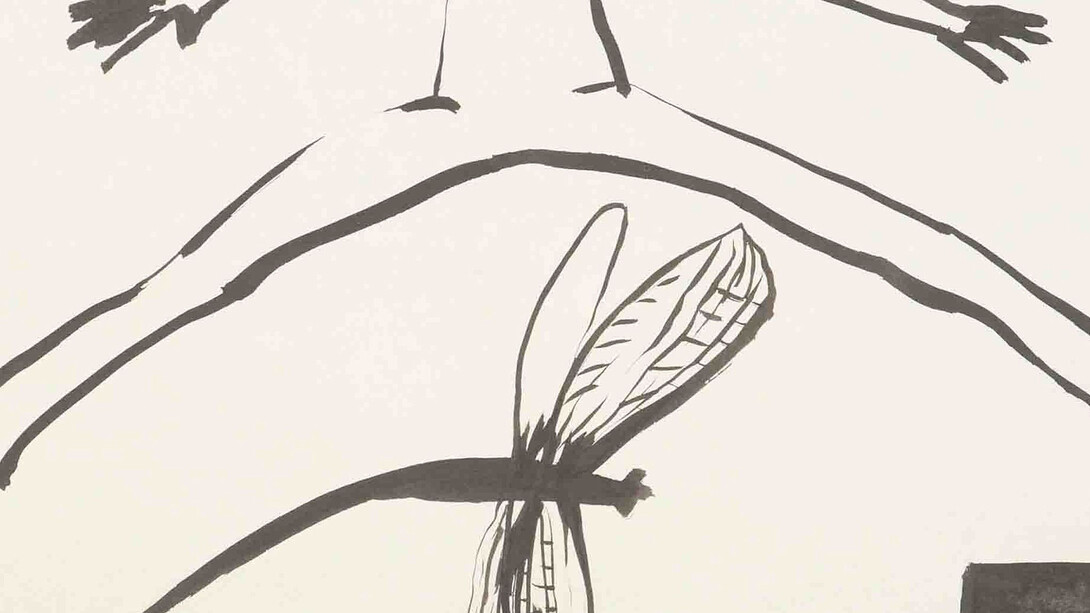 Wild Thing. Courtesy of Aargauer Kunsthaus 