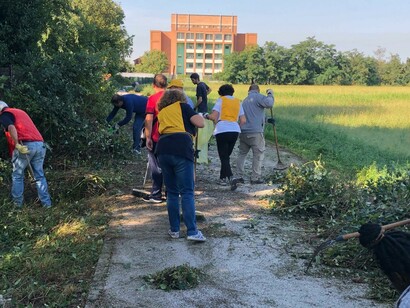 Pulizia del verde a Figino