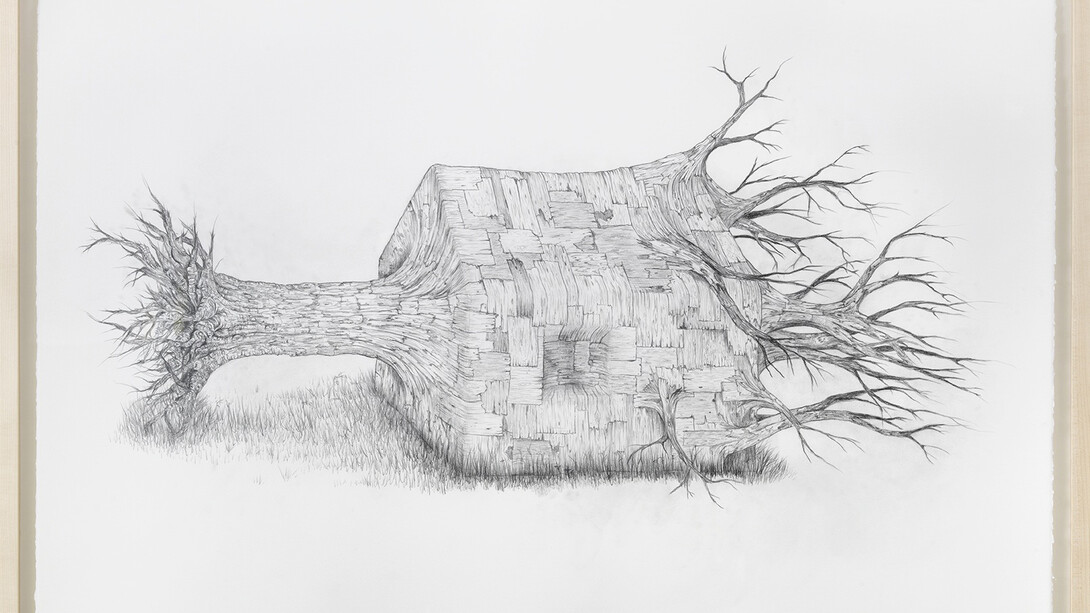Henrique Oliveira, Full Body Shadow, 2015, Crayon sur papier / Pencil on paper, 75 x 106 cm / 29 1/2 x 41 3/4 in. Pièce unique / Unique piece, Courtesy Galerie GP & N Vallois Paris, Photo : André Morin
