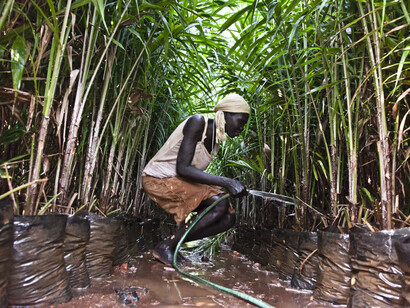Alfredo Bini, Land Grabbing or Land to Investors?