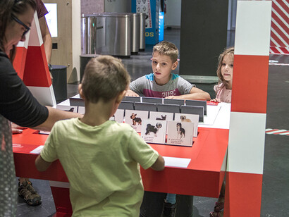 Cats and Dogs. Courtesy of Pavilhão do Conhecimento | Centro Ciência Viva