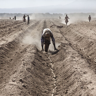 Alfredo Bini, Land Grabbing or Land to Investors?