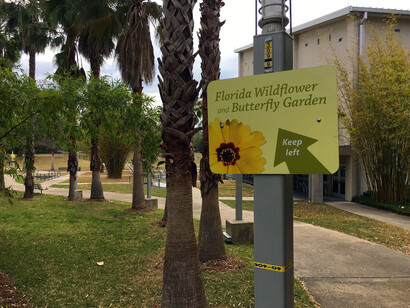 Florida Wildflower & Butterfly Garden. Courtesy of Florida Museum of Natural History