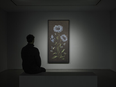 Laurent Grasso, Clouds theory, vista de exhibición. Courtesía de Pedro Guerra