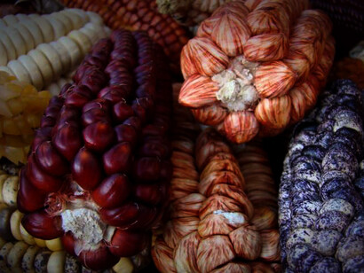 En la teología, configurada a partir de las etapas del maíz y de los elementos de la naturaleza que le rodeaban, se crearon divinidades del ciclo agrícola