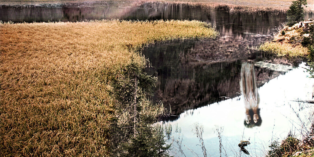 Ramificazioni. Courtesy of Gilda Contemporary Art