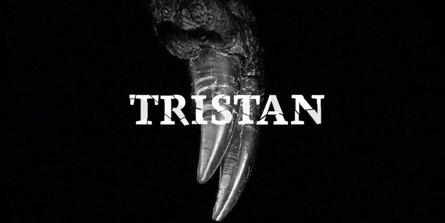 Tristan. Berlin bares teeth. Courtesy of Museum für Naturkunde