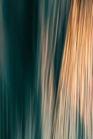 L’imaginaire