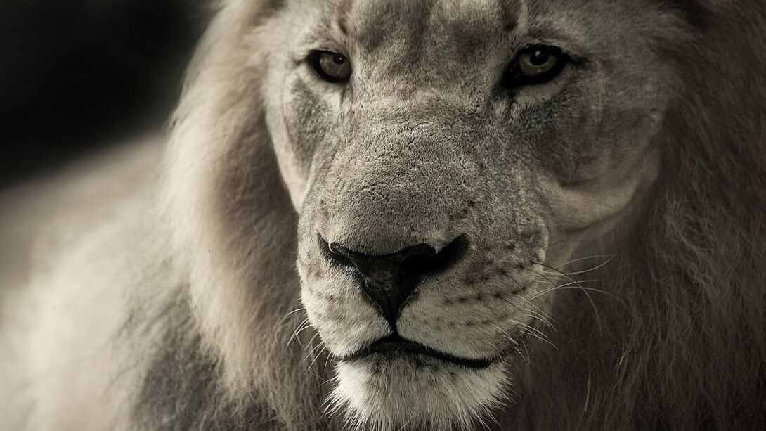 The importance of grit