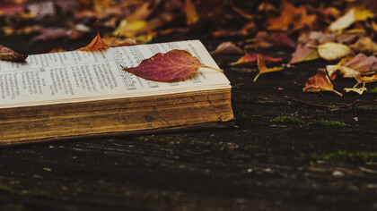 Arturo Aldunate Phillips: escritor sin contaminaciones de literatura social ni de sesgos sospechosos