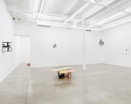 Sculpture, Exhibition view. Courtesy of James Cohan