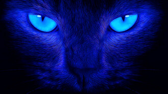 Predator(Editing artistico). Ph Sergio Pessolano