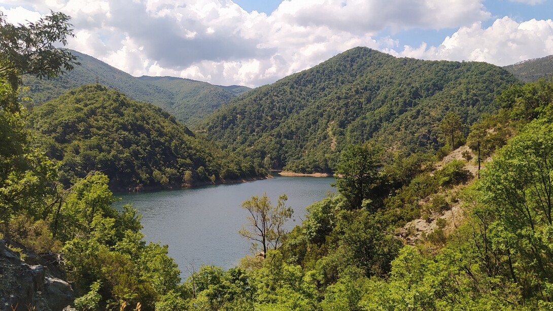 Parco naturale delle Capanne di Marcarolo, area naturale protetta istituita nel 1979 e situata in Piemonte al confine con la Liguria, Italia