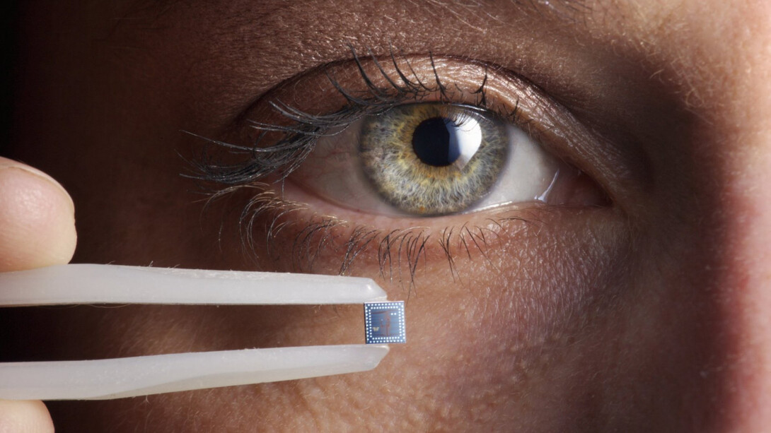 Sé que al escribir esta carta —que más bien es una denuncia— se me puede ir la vida