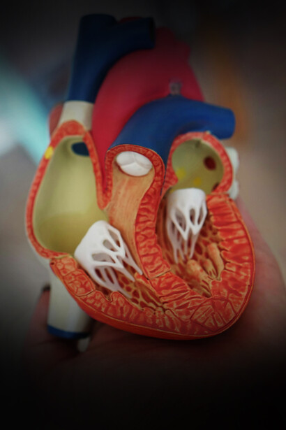 Cuore. Innovazione e ricerca nel trattamento delle patologie cardiache: riflessioni dal Convegno annuale 'Conoscere e curare il cuore'