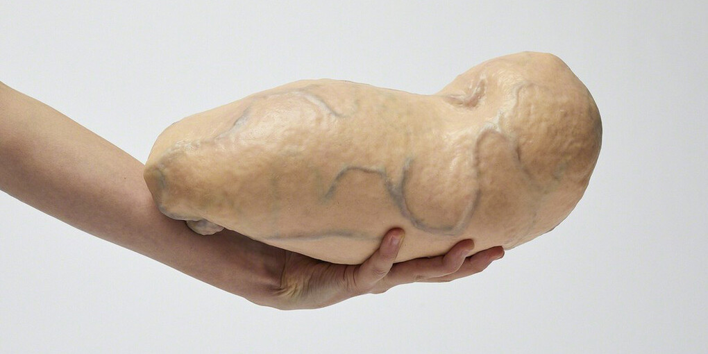 Stine Deja & Marie Munk 'Synthetic Seduction'. Courtesy of Annka Kultys Gallery