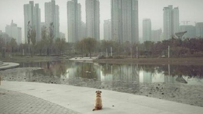 Ghost cities