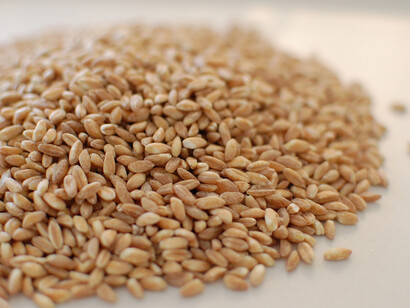 Semi di Farro
