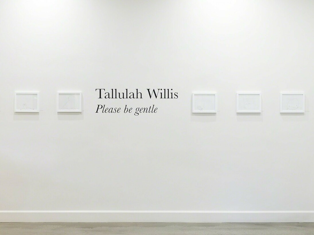 Tallulah Willis. Please be gentle, exhibition view. Courtesy of Eric Buterbaugh Gallery