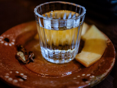 El mezcal está mas allá de solo un destilado de agave