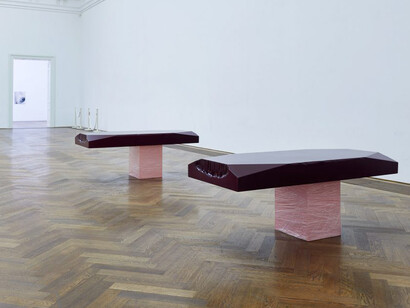 Shahryar Nashat. The Cold Horizontals, Exhibition view. Courtesy of Kunsthalle Basel 