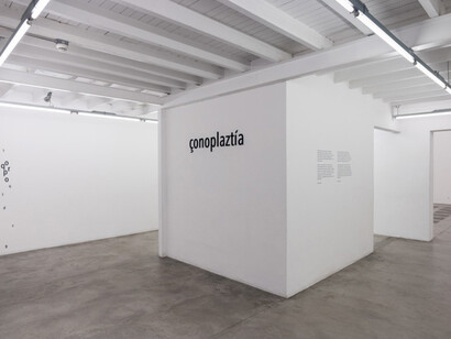 Çonoplaztía. Courtesy of Galeria Vermelho