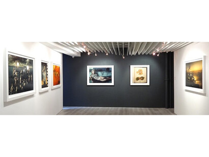 ‘Forces of Nature: Annie Leibovitz and Hiroshi
Senju’, Sundaram Tagore Gallery Hong Kong,
2015