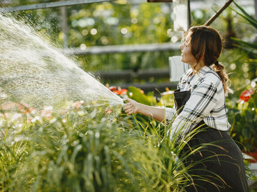 Con el surgimiento de ciudades, imperios y sistemas industriales, la humanidad comenzó a organizar el mundo como una estructura artificial, alejándose de la naturaleza que la había formado