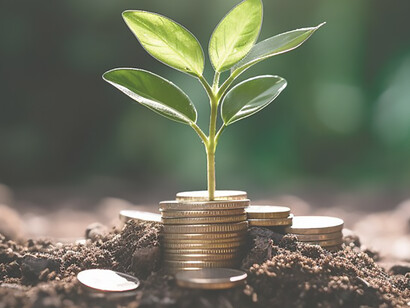 The symbiotic image of money intertwined with a thriving plant encapsulates the essence of countries embracing green investments, fostering both financial prosperity and environmental sustainability