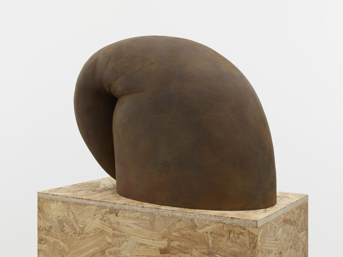 Martin Puryear, Up and Over, 2014, Cast ductile iron, 18 5/8 x 26 1/2 x 12 3/4 inches, 47 x 67 x 32 cm. ©Martin Puryear, Courtesy Matthew Marks Gallery
