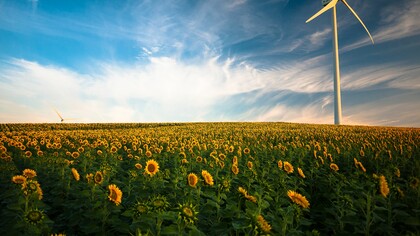 Generación eólico en un campo de girasoles