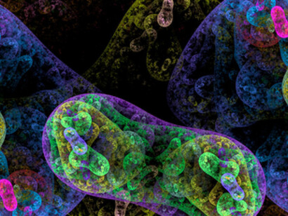 Sopa primordial