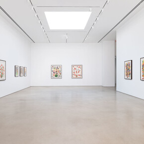 Isabella Ducrot, The visited land, exhibition view. Courtesy of Petzel Gallery