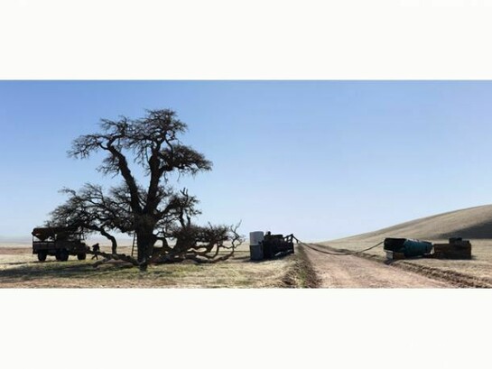 Stan Douglas, Checkpoint, 1975, 2012, Digital C-print mounted on Dibond aluminum, 132.1 x 303.5 cm, 52 1/8 x 119 1/2 in. Edition of 5, Courtesy the artist, Victoria Miro, London and David Zwirner, New York / London, © Stan Douglas